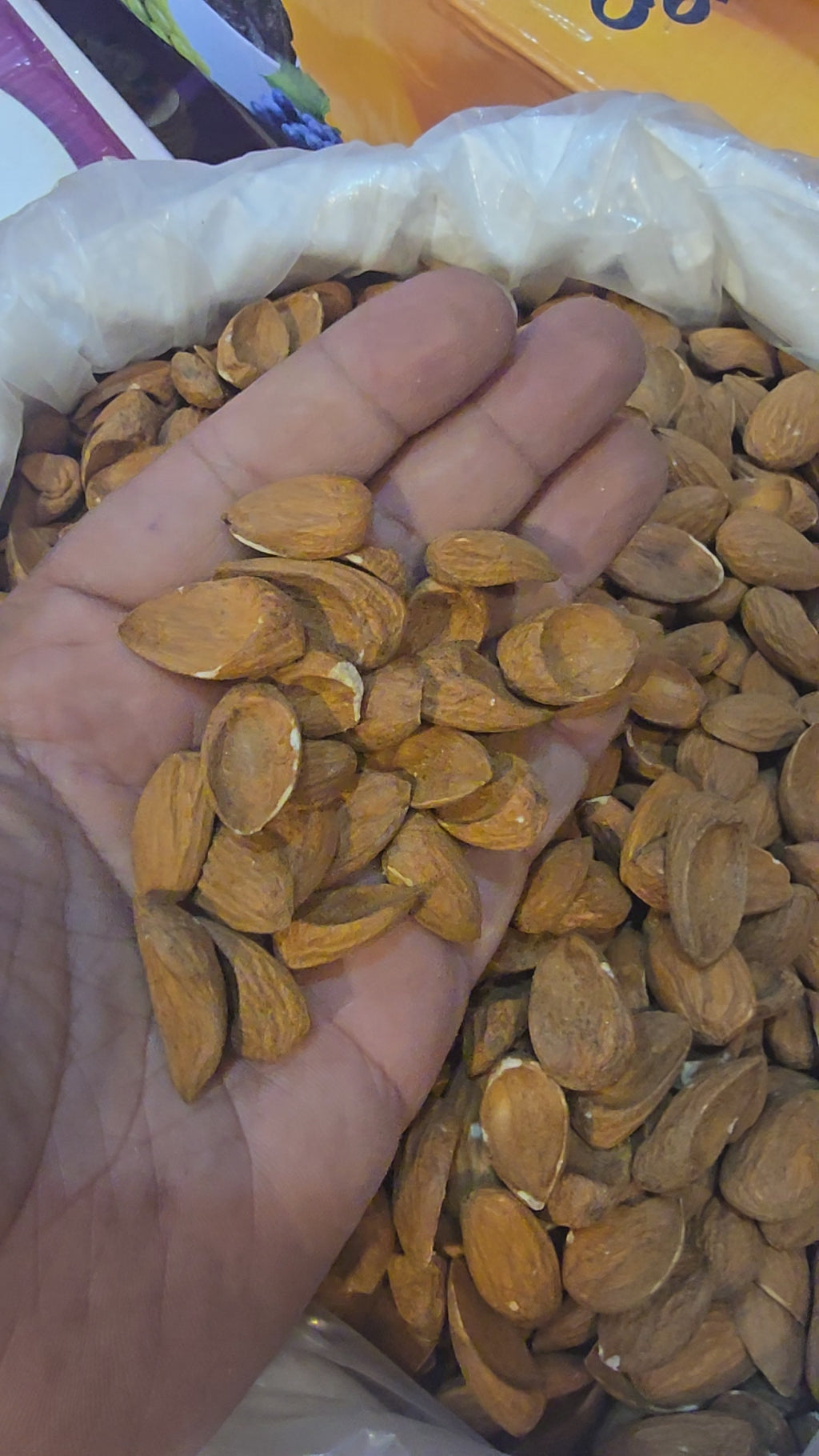 Fully curved Big Mamra 500 gm